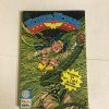 WONDER WOMAN Nº 01 AL 05