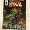 THE RAMPAGING HULK V.1 Nº13