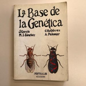 LA BASE DE LA GENETICA