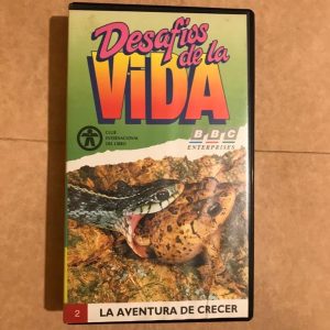 DESAFIOS DE LA VIDA Nº02