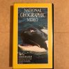 NATIONAL GEOGRAPHIC "LOBOS DEL MAR"
