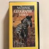 NATIONAL GEOGRAPHIC "CEBRAS: MIL DIBUJOS EN LA PRADERA"