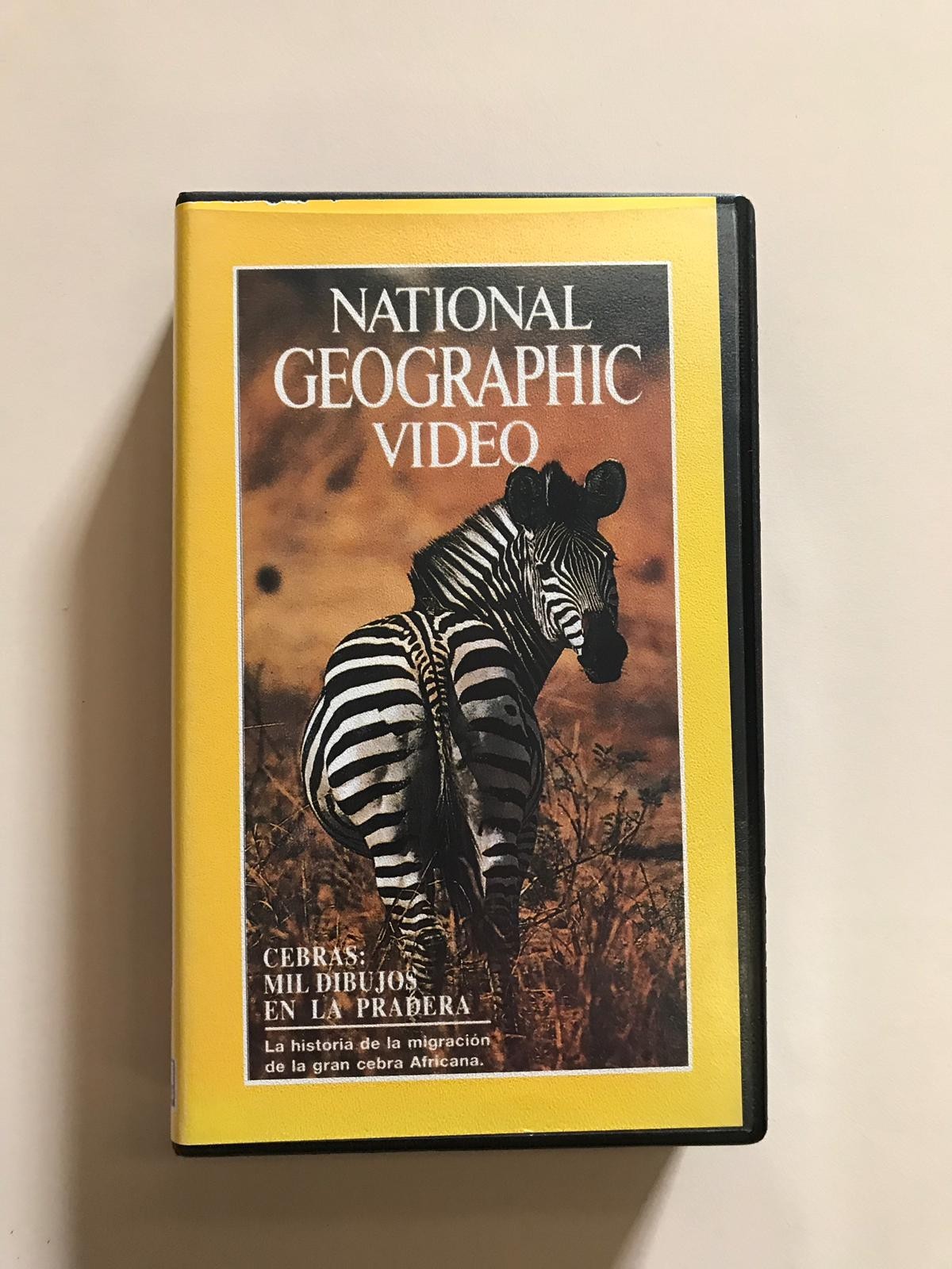 NATIONAL GEOGRAPHIC "CEBRAS: MIL DIBUJOS EN LA PRADERA"