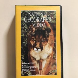 NATIONAL GEOGRAPHIC "LOS GRANDES GATOS"