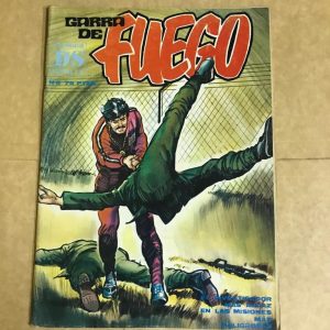 FUEGO Nº06