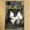 SANDMAN Nº19