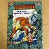 CLASICOS MARVEL Nº07
